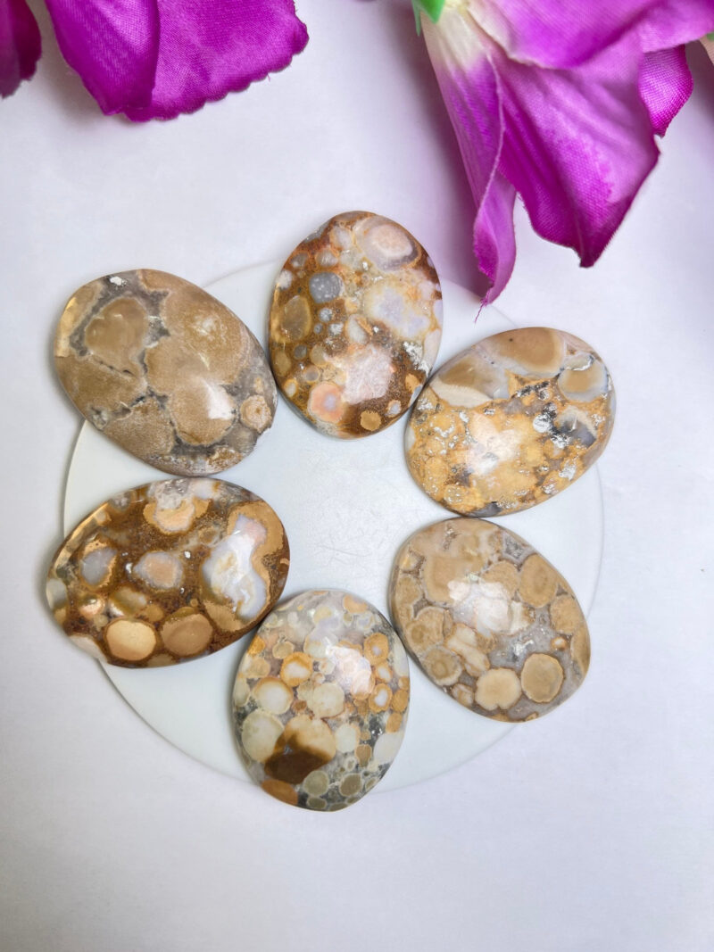 King Cobra Jasper -Chamthwala Jasper Oval Shape Worry Stone for Crystal Healing And Meditation -Pocket Palm Stone -Thumb Stone One (1) Piece - Image 2