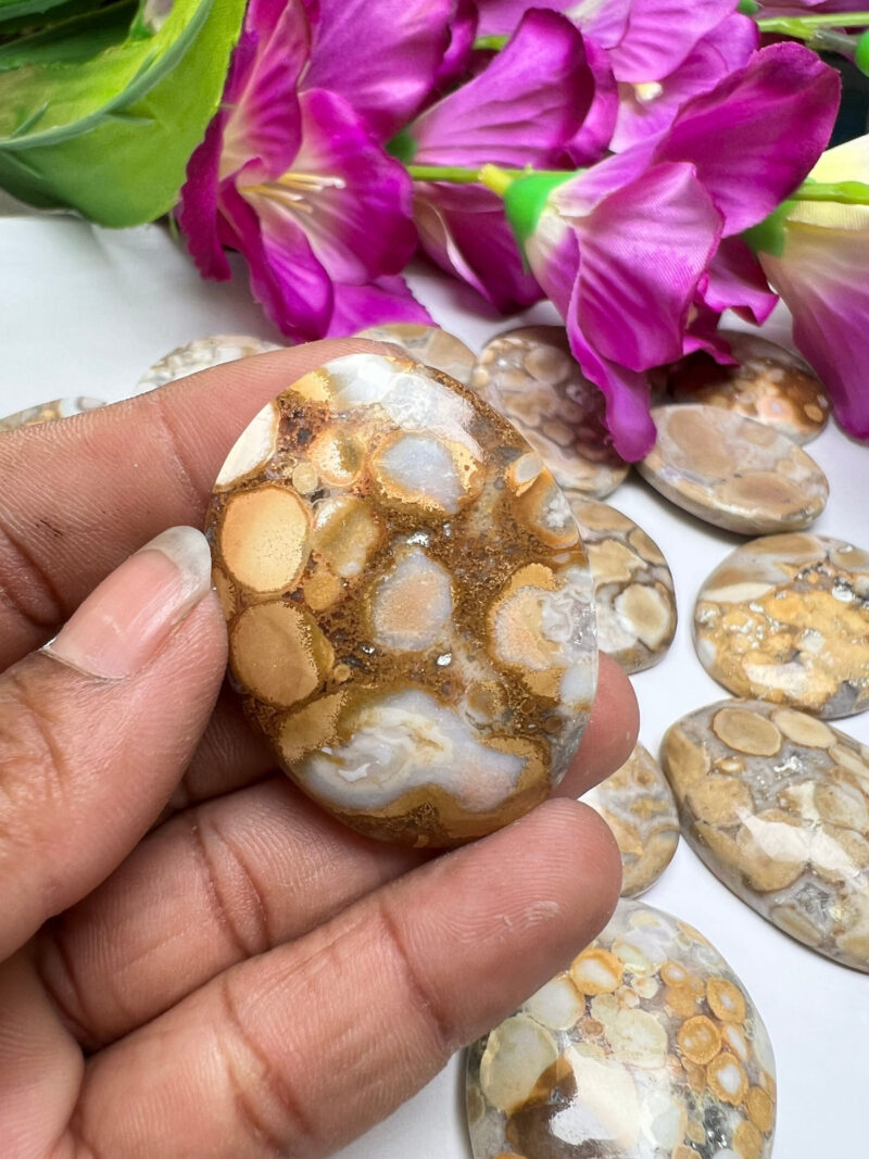 King Cobra Jasper -Chamthwala Jasper Oval Shape Worry Stone for Crystal Healing And Meditation -Pocket Palm Stone -Thumb Stone One (1) Piece