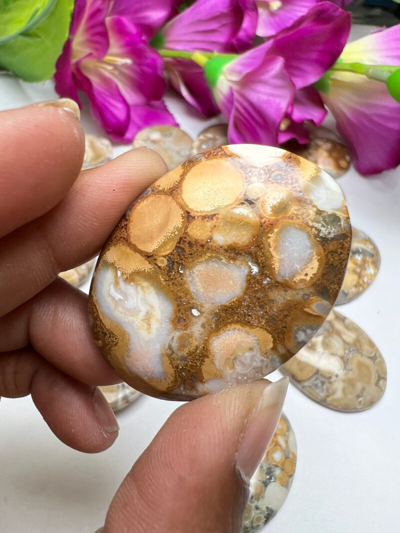 King Cobra Jasper -Chamthwala Jasper Oval Shape Worry Stone for Crystal Healing And Meditation -Pocket Palm Stone -Thumb Stone One (1) Piece - Image 4