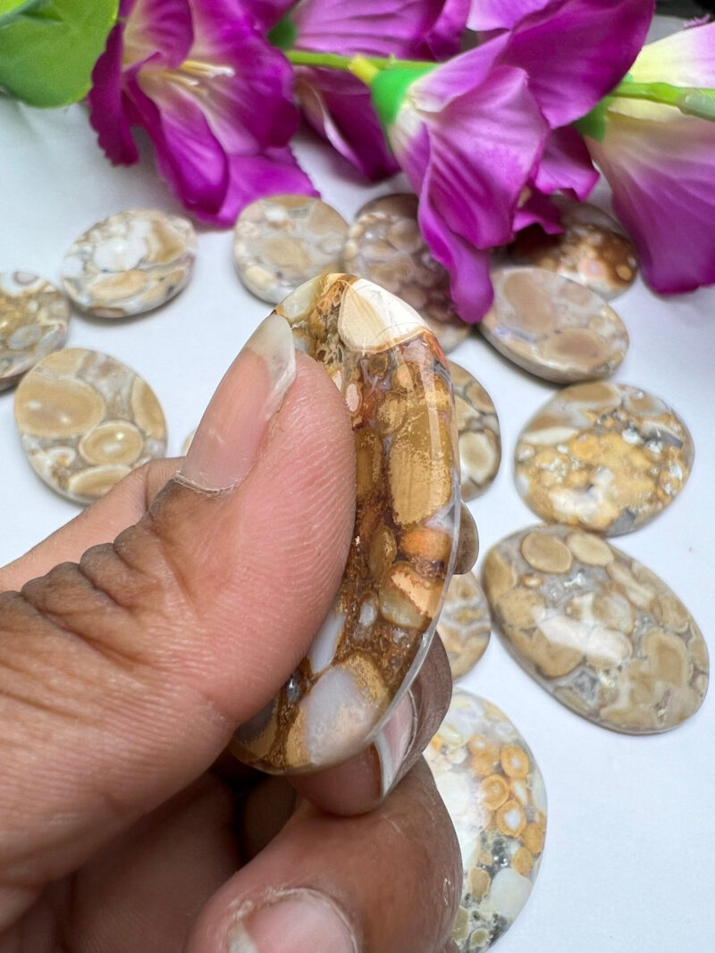 King Cobra Jasper -Chamthwala Jasper Oval Shape Worry Stone for Crystal Healing And Meditation -Pocket Palm Stone -Thumb Stone One (1) Piece - Image 6