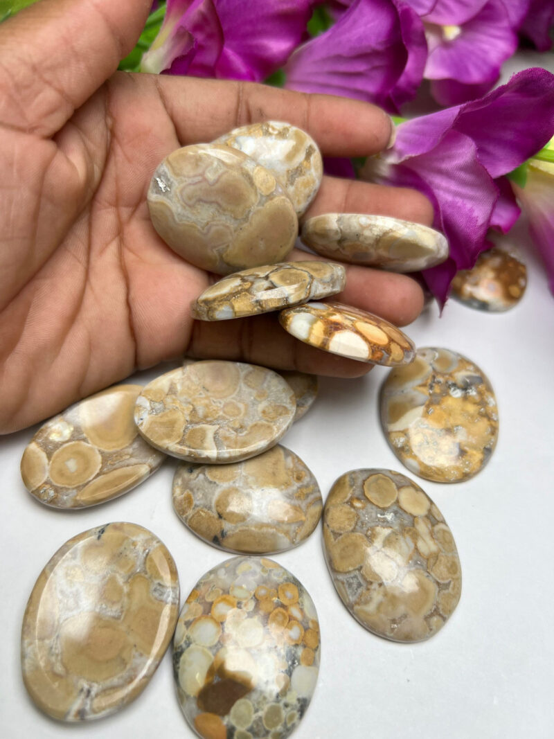King Cobra Jasper -Chamthwala Jasper Oval Shape Worry Stone for Crystal Healing And Meditation -Pocket Palm Stone -Thumb Stone One (1) Piece - Image 7