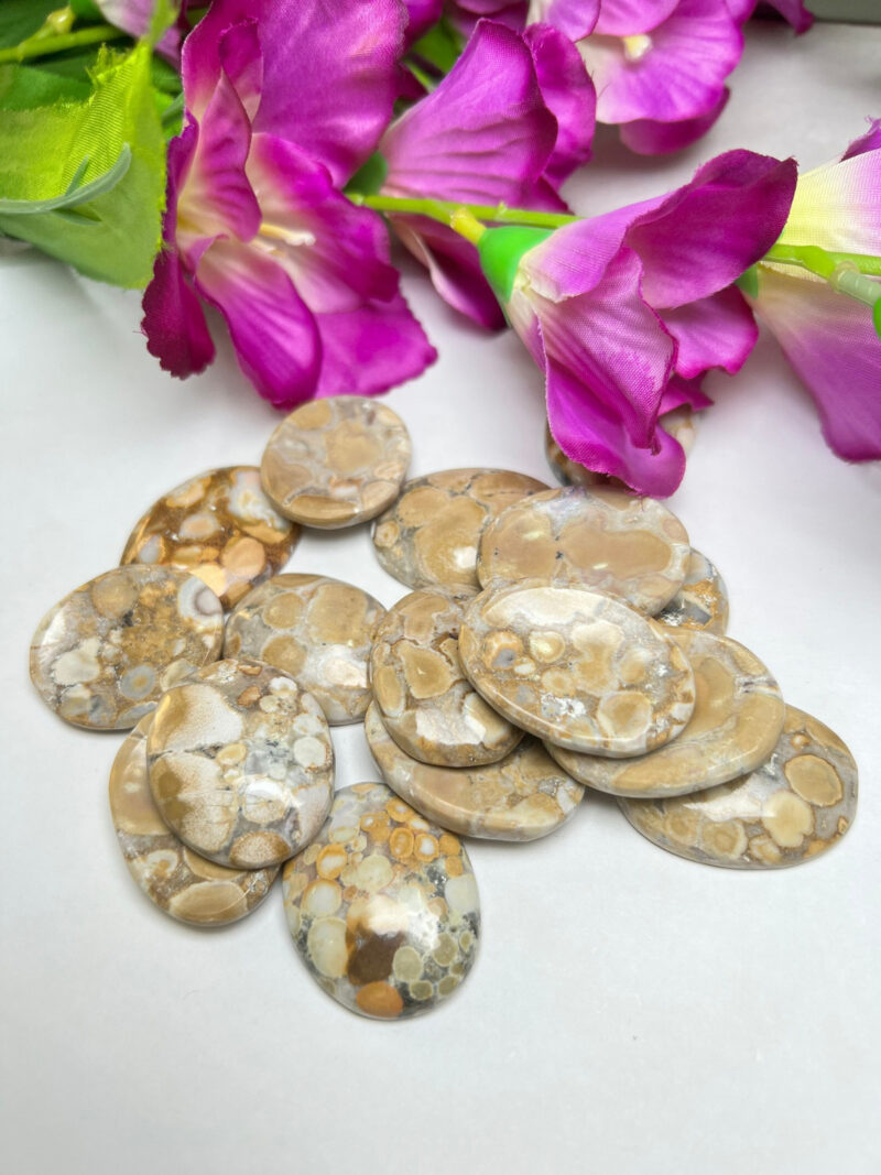 King Cobra Jasper -Chamthwala Jasper Oval Shape Worry Stone for Crystal Healing And Meditation -Pocket Palm Stone -Thumb Stone One (1) Piece - Image 8