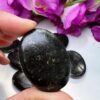 Nuummite Stone Oval Shape Worry Stone for Crystal Healing And Meditation - Pocket Palm Stone - Thumb Stone One (1) Piece