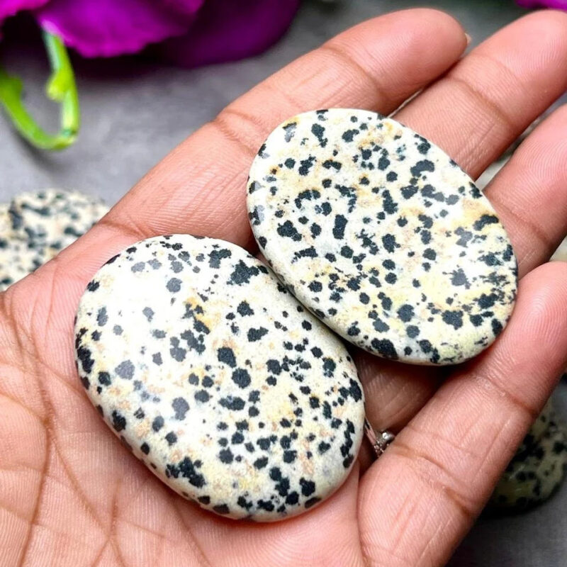 Dalmation Jasper Oval Shape Worry Stone for Crystal Healing And Meditation - Pocket Palm Stone - Thumb Stone One (1) Piece - Image 2