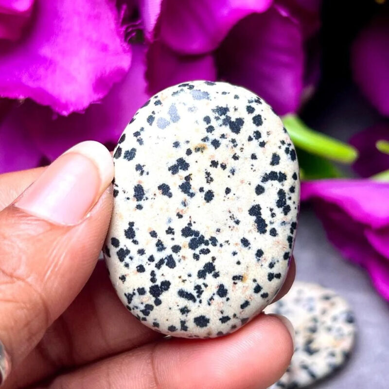 Dalmation Jasper Oval Shape Worry Stone for Crystal Healing And Meditation - Pocket Palm Stone - Thumb Stone One (1) Piece - Image 3