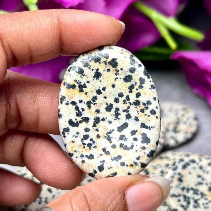 Dalmation Jasper Oval Shape Worry Stone for Crystal Healing And Meditation - Pocket Palm Stone - Thumb Stone One (1) Piece