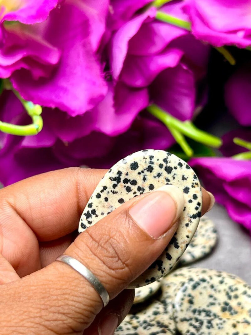 Dalmation Jasper Oval Shape Worry Stone for Crystal Healing And Meditation - Pocket Palm Stone - Thumb Stone One (1) Piece - Image 6