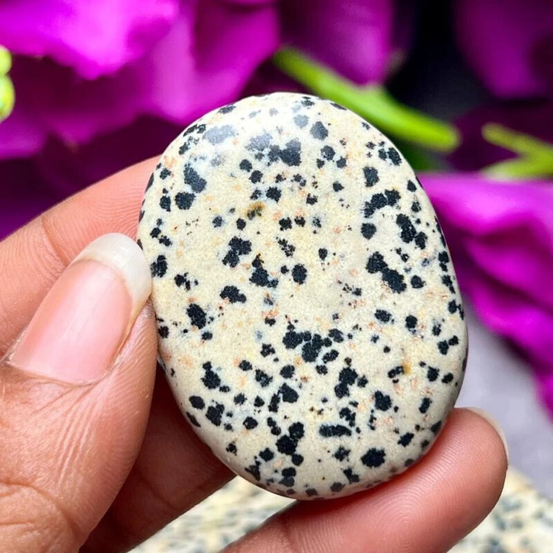 Dalmation Jasper Oval Shape Worry Stone for Crystal Healing And Meditation - Pocket Palm Stone - Thumb Stone One (1) Piece - Image 7