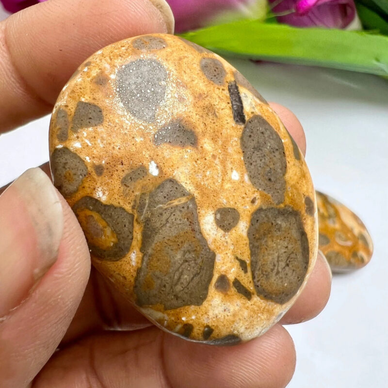 Yellow Turtle Jasper Stone Oval Shape Worry Stone for Crystal Healing And Meditation - Pocket Palm Stone - Thumb Stone One (1) Piece