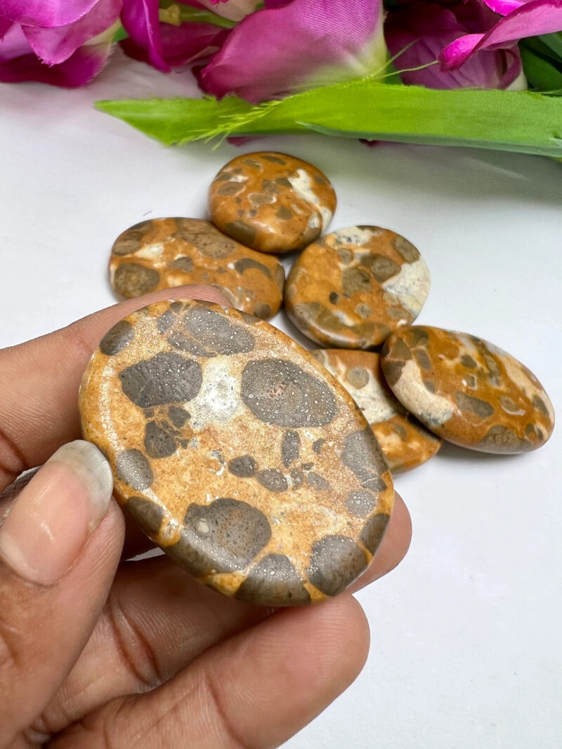 Yellow Turtle Jasper Stone Oval Shape Worry Stone for Crystal Healing And Meditation - Pocket Palm Stone - Thumb Stone One (1) Piece - Image 4