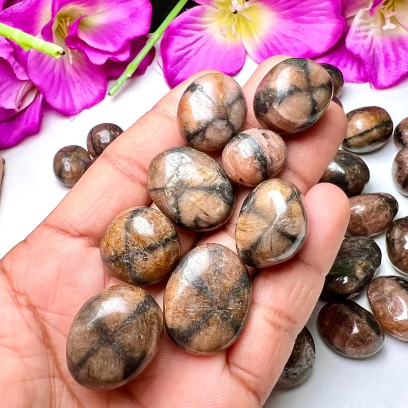 Chiastolite - Andalusite Tumbled Stone - Spiritual Stone -Healing Crystals in pack sizes of 1,2,3,4,5,6 and 10 Pieces Quality AAAAA +++++ - Image 3
