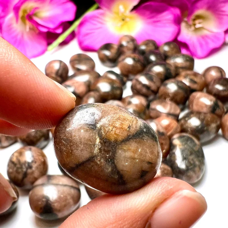 Chiastolite - Andalusite Tumbled Stone - Spiritual Stone -Healing Crystals in pack sizes of 1,2,3,4,5,6 and 10 Pieces Quality AAAAA +++++