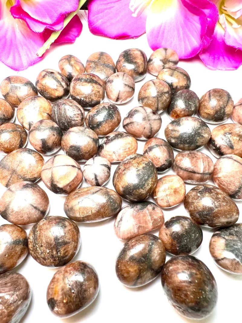 Chiastolite - Andalusite Tumbled Stone - Spiritual Stone -Healing Crystals in pack sizes of 1,2,3,4,5,6 and 10 Pieces Quality AAAAA +++++ - Image 6