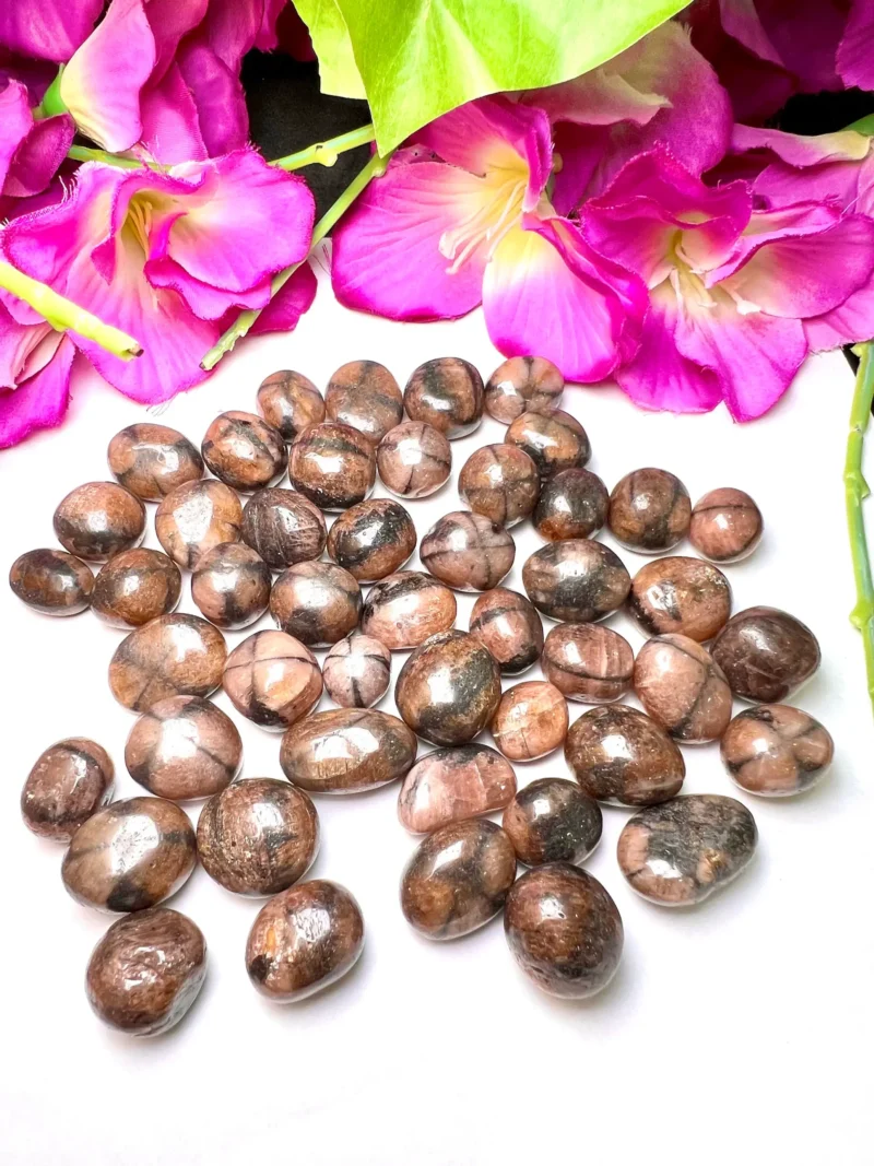 Chiastolite - Andalusite Tumbled Stone - Spiritual Stone -Healing Crystals in pack sizes of 1,2,3,4,5,6 and 10 Pieces Quality AAAAA +++++ - Image 7
