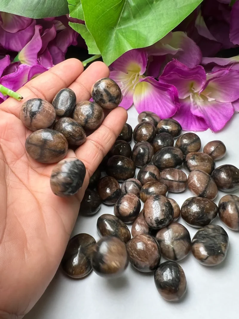 Chiastolite - Andalusite Tumbled Stone - Spiritual Stone -Healing Crystals in pack sizes of 1,2,3,4,5,6 and 10 Pieces Quality AAAAA +++++ - Image 8