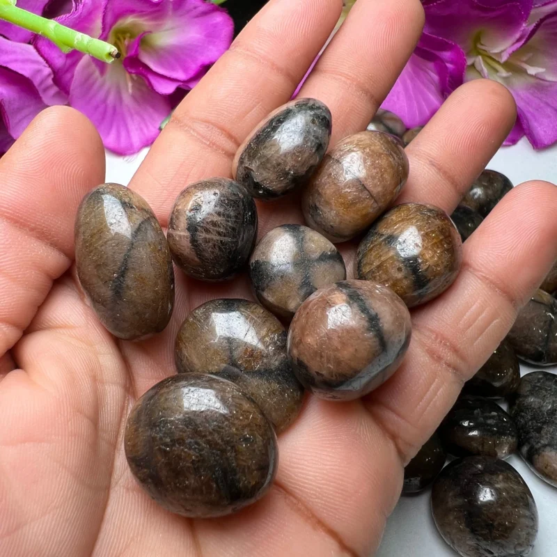Chiastolite - Andalusite Tumbled Stone - Spiritual Stone -Healing Crystals in pack sizes of 1,2,3,4,5,6 and 10 Pieces Quality AAAAA +++++ - Image 9