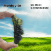 Moldavite Stone  - 256 Carat from Czech Republic Very Rare AAAAA Grade