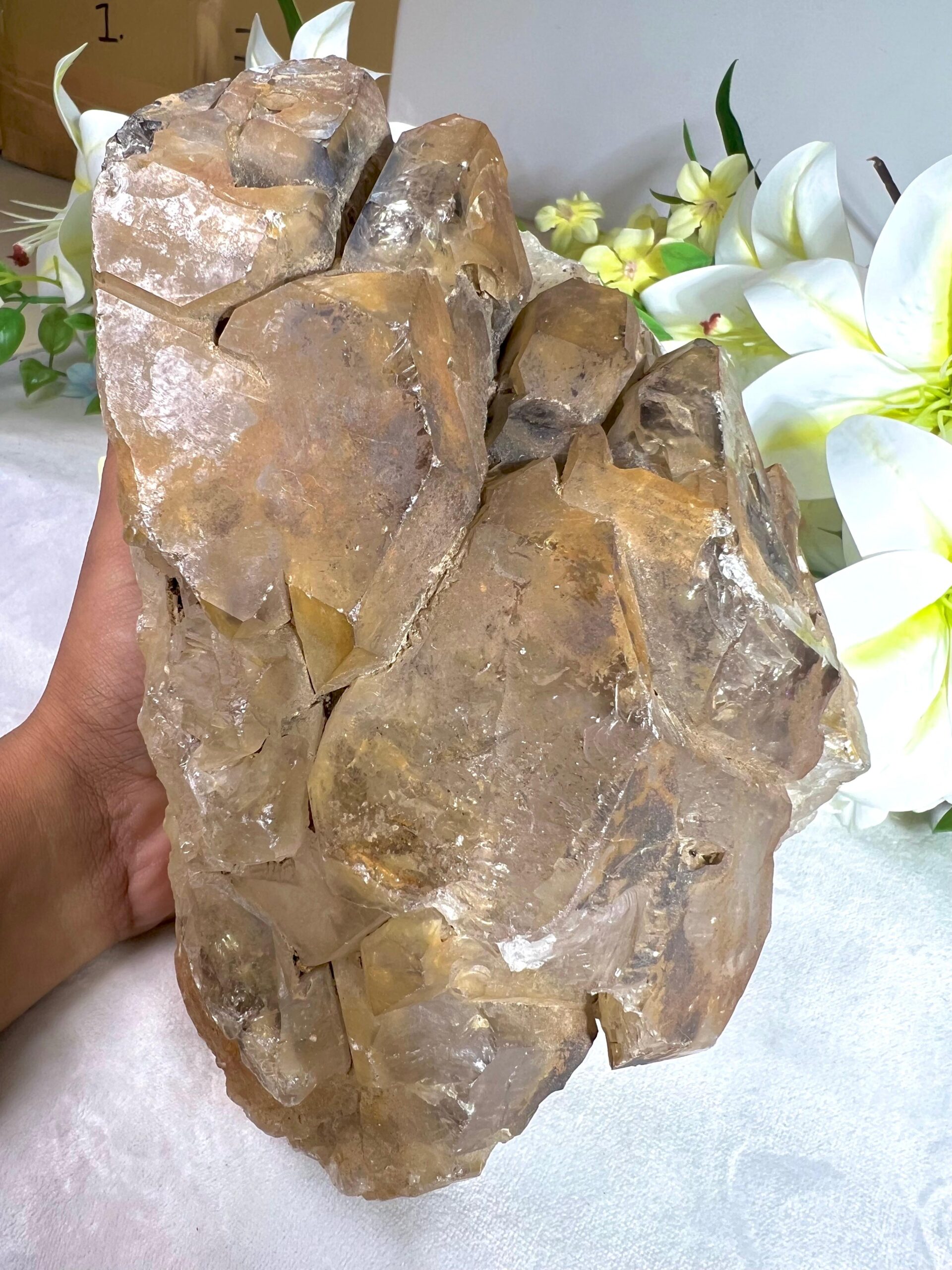 Elestial Crystal Quartz - 3994 Gram - Image 6