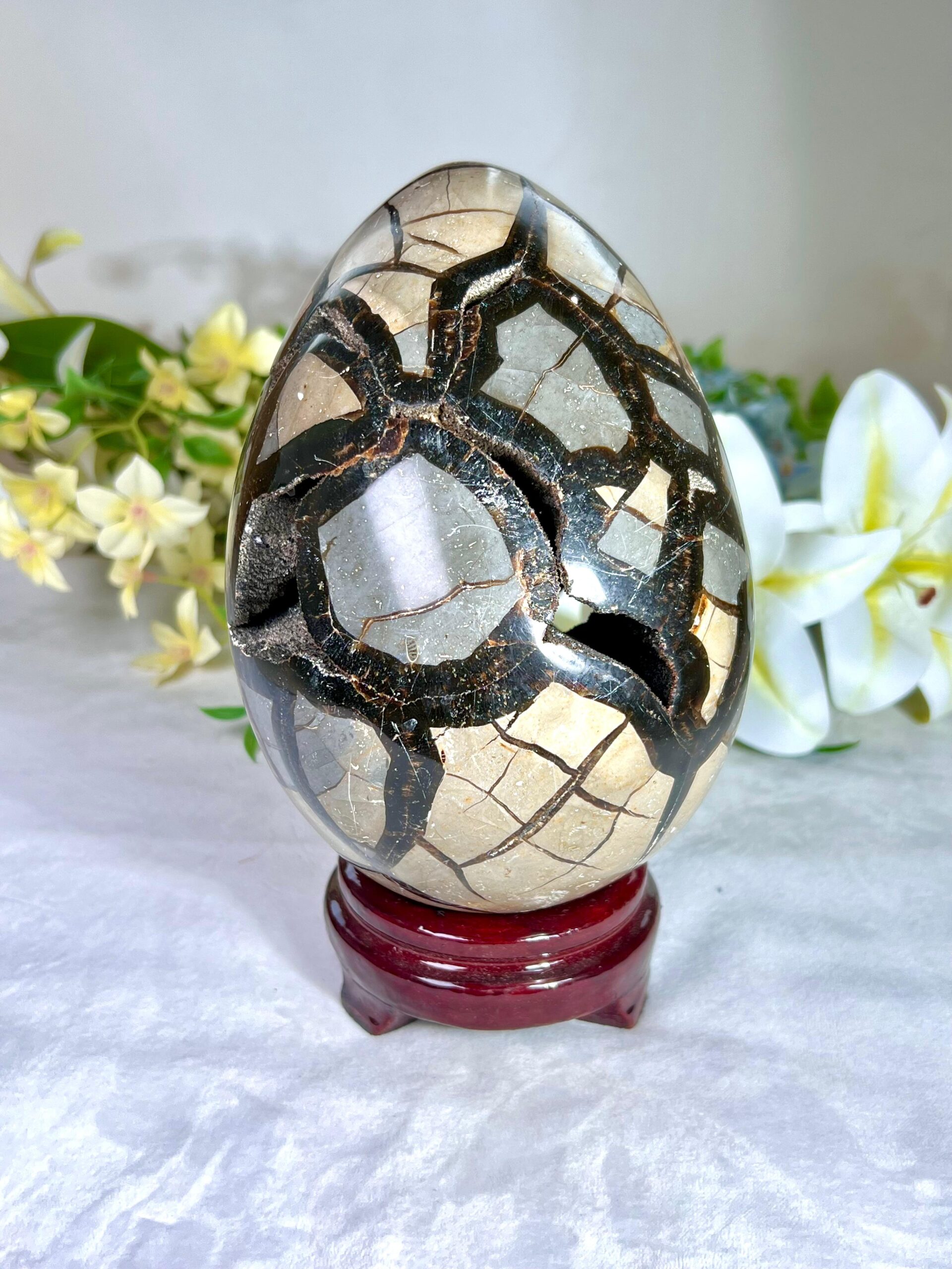 Septarian Crystal Stone - 2988 Gram - Image 5