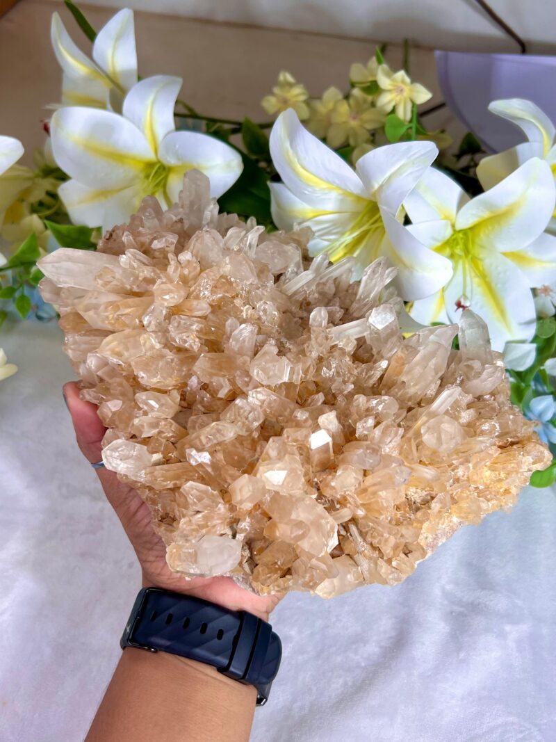 Lemurian Himalaya Crystal quartz  - 2740 Gram - Image 5